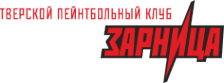 Логотип компании Зарница