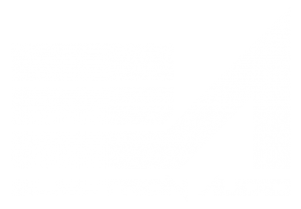 Логотип компании Electron Audio