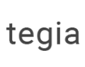 Логотип компании Тегия