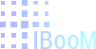 Логотип компании IBooM
