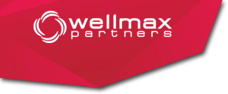 Логотип компании Wellmax partners