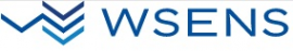 Логотип компании WSENS (Группа компаний Визард)